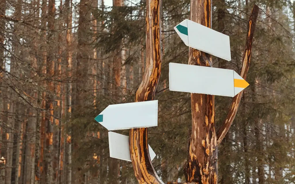 Direction signs - a route to the chosen destination